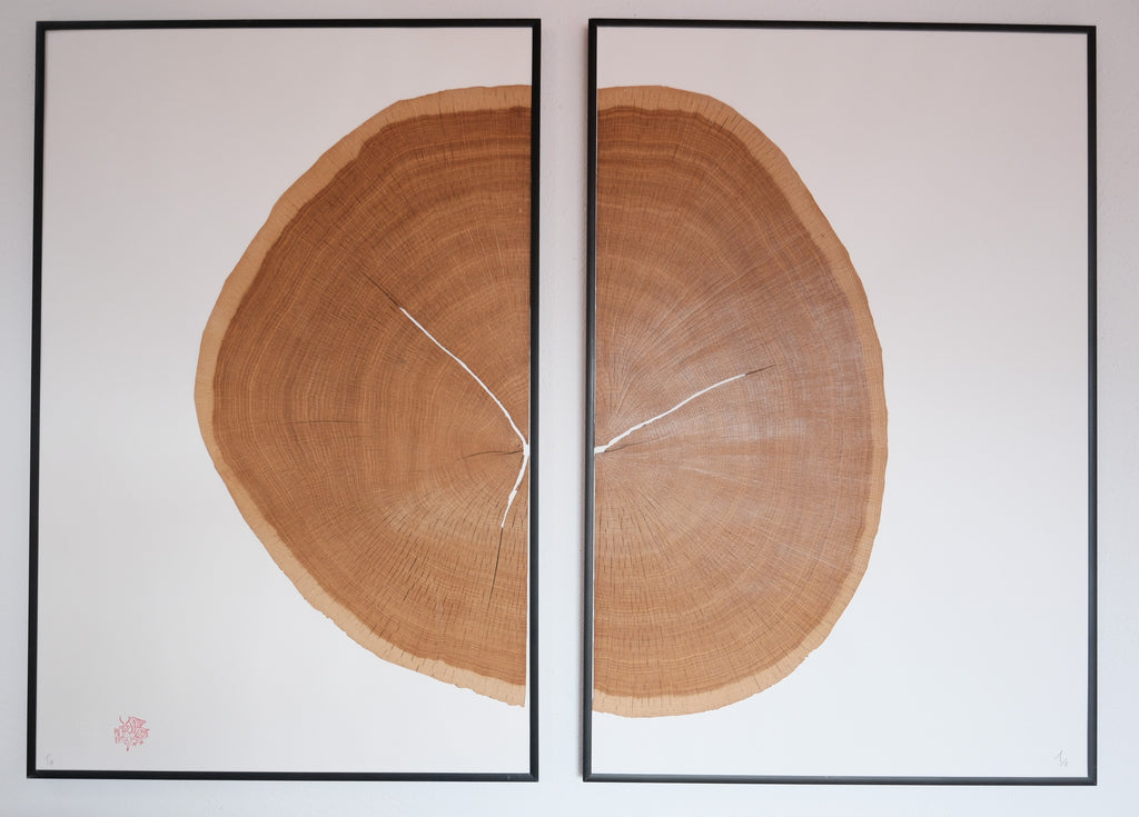 Puka Oak – Natural Wood - Limited Series of 8 (natural)