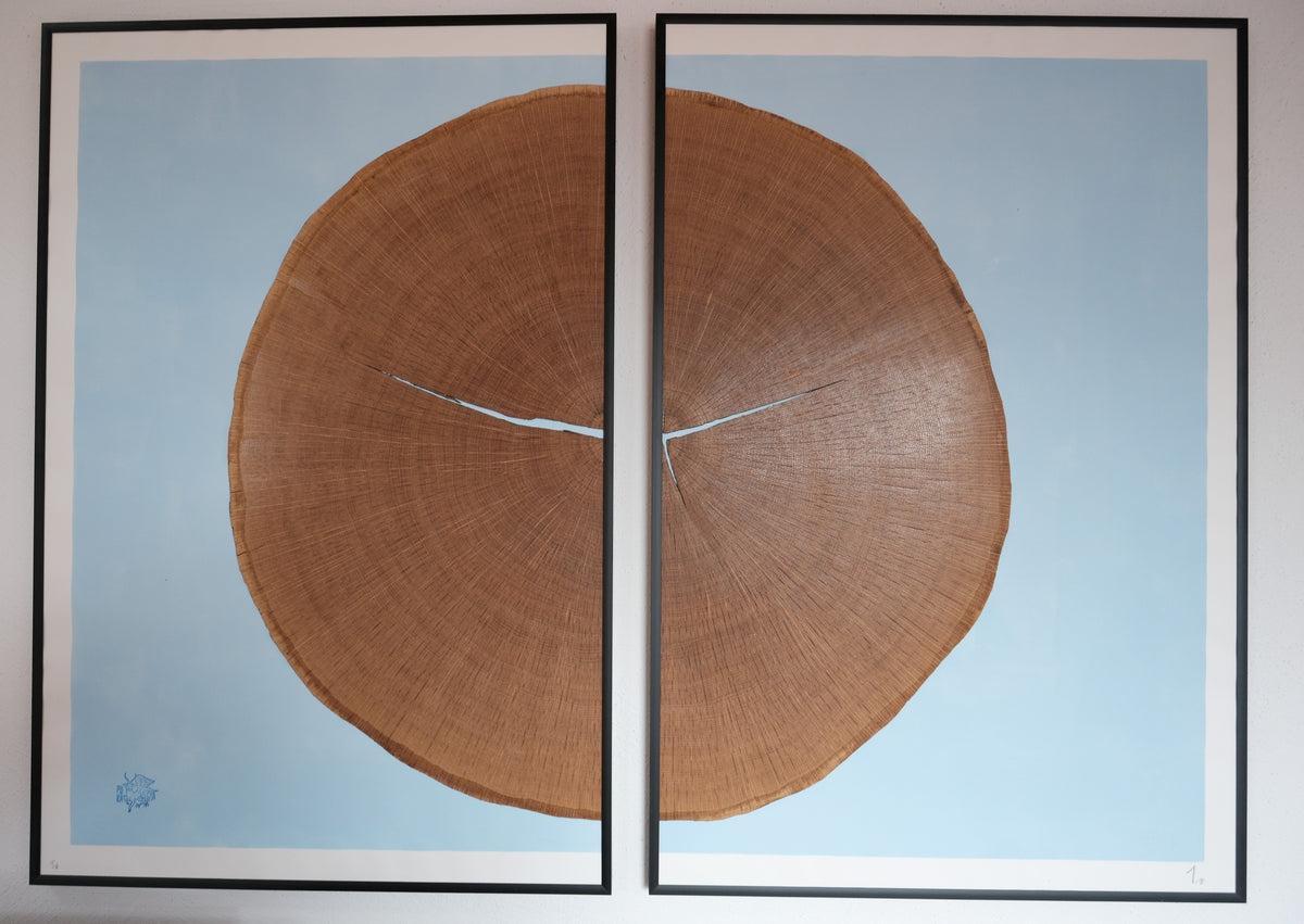 Puka Oak – Natural Wood - Limited Series of 8 (blue)
