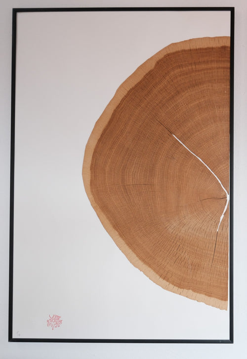 Puka Oak – Natural Wood - Limited Series of 8 (natural - half)