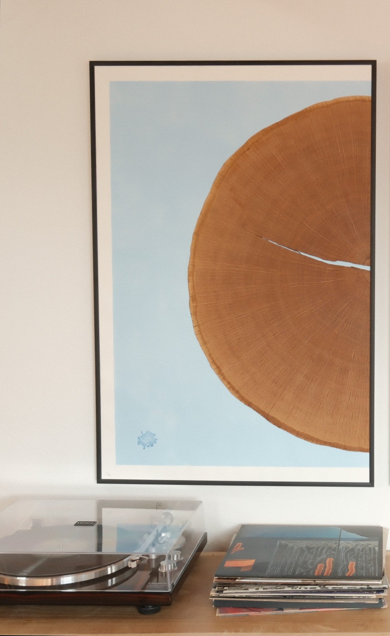 Puka Oak – Natural Wood - Limited Series of 8 (blue - half)