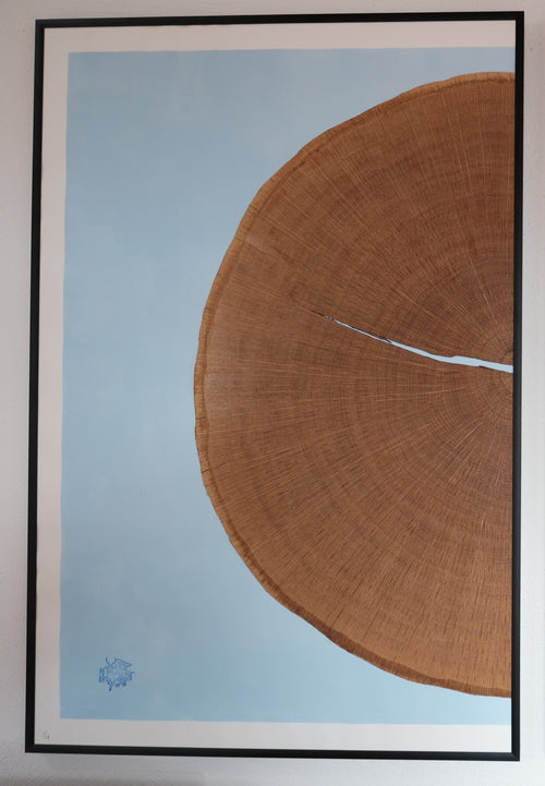 Puka Oak – Natural Wood - Limited Series of 8 (blue - half)